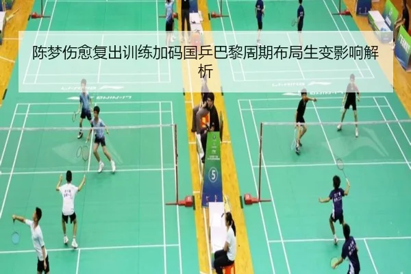 陈梦伤愈复出训练加码国乒巴黎周期布局生变影响解析